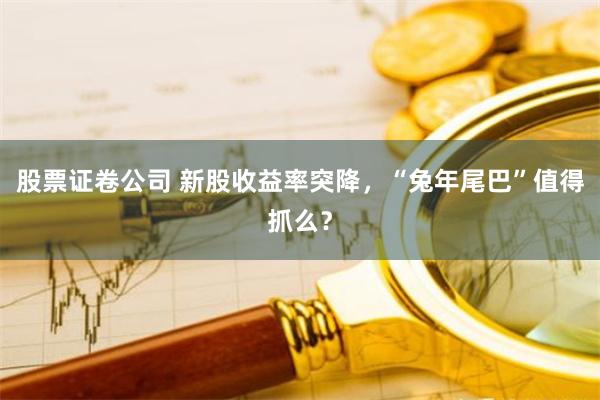 股票证卷公司 新股收益率突降，“兔年尾巴”值得抓么？