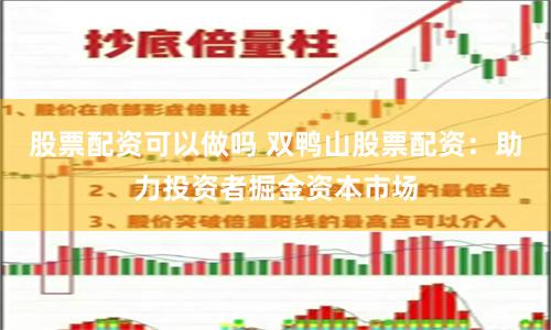 股票配资可以做吗 双鸭山股票配资：助力投资者掘金资本市场